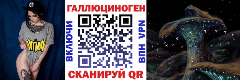 наркошоп  MEGA вход  Псилоцибиновые грибы Magic Shrooms  Тамбов 